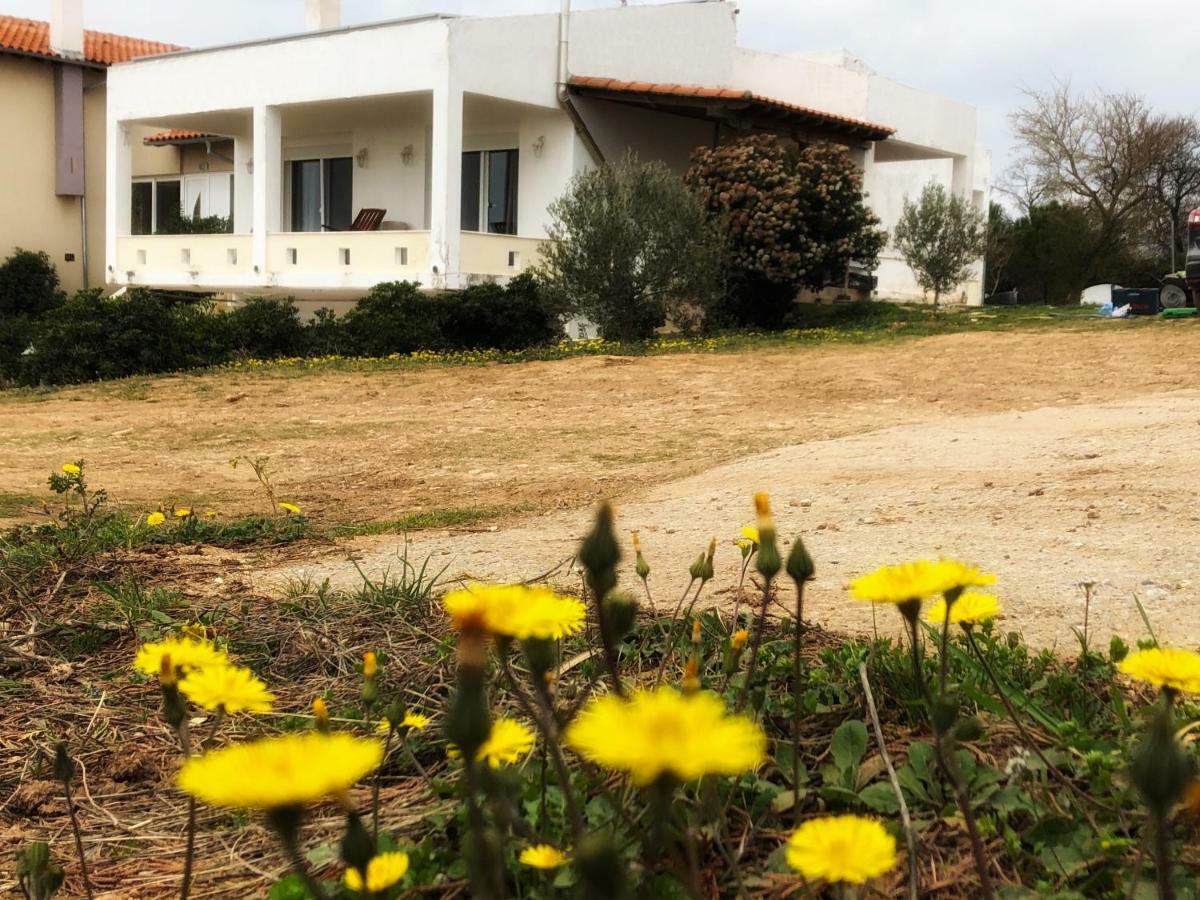 The Hillhouse Near Alexandroupolis 빌라 외부 사진